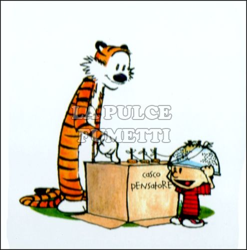 COMPLETE CALVIN AND HOBBES #     9